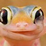 Stevesmith2171 profil fotoğrafı