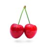 pauli-121's profile picture