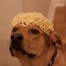 Фото профиля trapdog