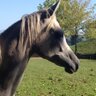 marco521 profil fotoğrafı