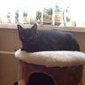 марина's profile picture