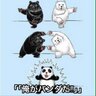 ニート植毛's profile picture