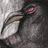 Gonzalo Iván's profile picture