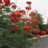 Фото профиля Abduuul