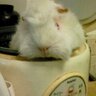 Фото профиля ちゅーりー@75%で稼働中〜(*^^*)