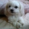 ゆうこ profil fotoğrafı