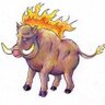 xXPIG ON FIREXx 的头像