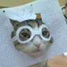 Не местный's profile picture