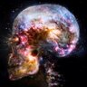 Josh's profile picture