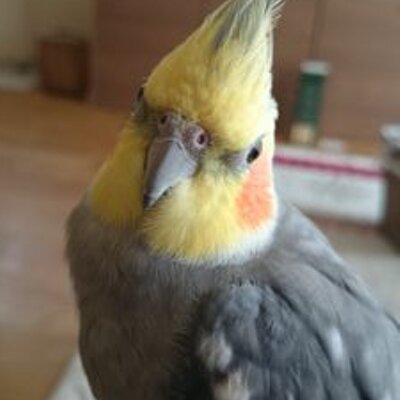 1428_k's profile picture