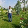 wafaa mahdi alzayady's profile picture