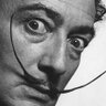 Profilbild von Meister Zorg