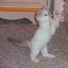 TucsonTerri profil fotoğrafı