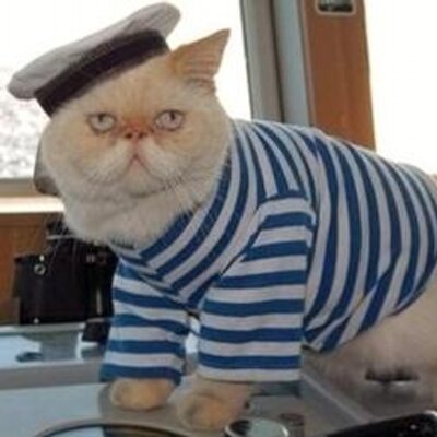 Steve Wyss's profile picture