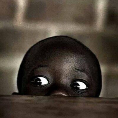 esifontes's profile picture