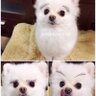 山之内もっこす profil fotoğrafı