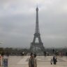 LuisMENDOZA-CALDERON's profile picture