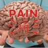 Hsieh-Hsing Wu profil fotoğrafı