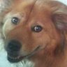 Profilbild von Bart Gosnell