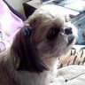 Tappy profil fotoğrafı
