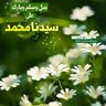 dalila oumadam's profile picture