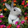 みゅー profil fotoğrafı