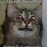 Кэп's profile picture