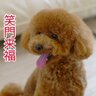 Фото профиля えりっち