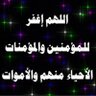 Profilbild von mohammed almurtada