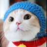 ひろ's profile picture
