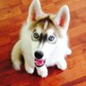 steve arbogast profil fotoğrafı