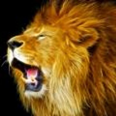 Leolph's profile picture