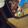 Netrocyn profil fotoğrafı