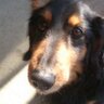 yuki's profile picture