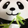 803タンさん profil fotoğrafı