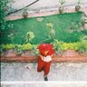 Фото профиля puguh_imanto
