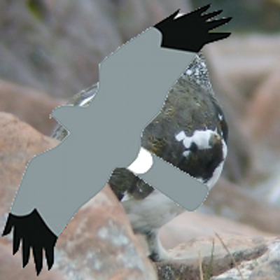 Andy Field's profile picture