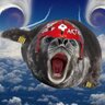 Baby Seal Team 6's profile picture