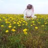 ابراهيم العبيد's profile picture