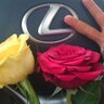 ابو الوليد profil fotoğrafı