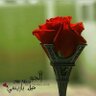 Фото профиля Wedad aladwani