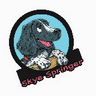 Skye 的头像