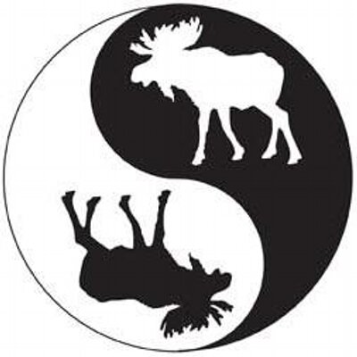 MisticalMoose's profile picture