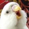 keet's profile picture