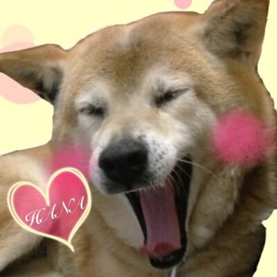 tkhs0323's profile picture