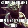 SimpleGuy's profile picture