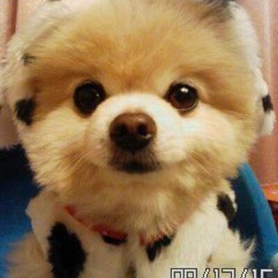shun mama's profile picture