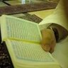 Фото профиля خالد الأنصاري