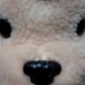 sarukick's profile picture