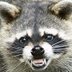 Profilbild von 暴れ熊